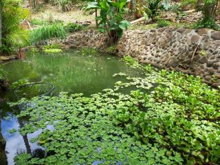 Spacious studio in the mountains with a countryside feel - 4