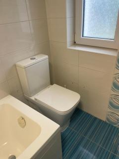 Rodinný dům se zahradou - Pardubice Svítkov - Pardubice - 8