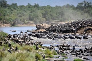 MaraRiver TreeHouse - 6