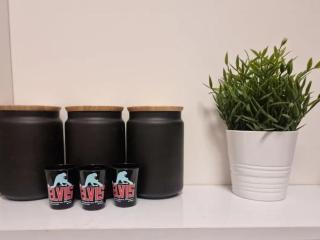 Koresh10 -Anton suite - 5