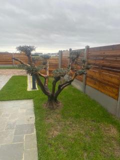 GITE BEAUSEJOUR à Fontenay sur Mer, 50m de la plage et face au golf - 8