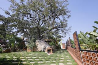 Unwind Farm Retreat - 5