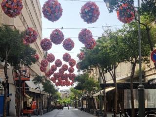 KORESH 10 - Galia suite - 8