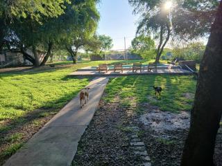 Finca La Huella II - 9