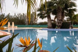 Special Launch Price! Amazing Sea View 1BR Villa, Garden - 7
