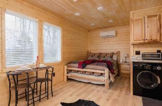 Relaxing Cabin studio in Heart of the tri cities - 4
