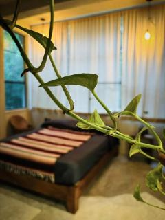 Beautiful House in the Heart of the Jungle - Ya'axnik - 3