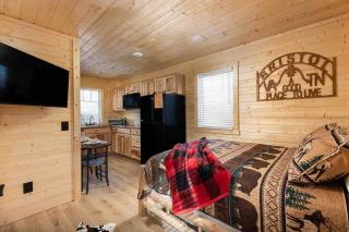 Unique Cabin studio in Heart of the tri cities - 7