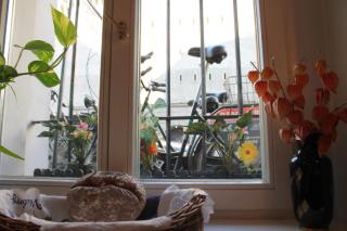 Hotel Amelie Berlin - Berlim - 9