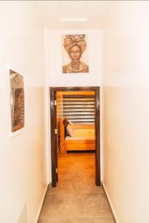 Renouvellement des collines - 6