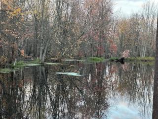 Fairway to Ski View Retreat - 5