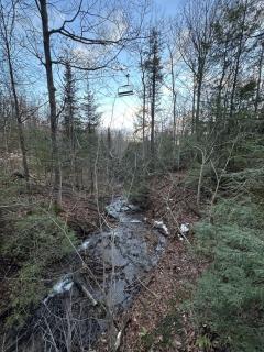 Fairway to Ski View Retreat - 9