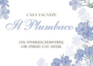 Casa Vacanze Palidoro Il Plumbaco - 8