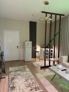 Modern apartment with a bedroom, a living room, a coffee corner, and a bathroom - 3