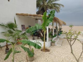 Le Petit Riad à Saint-Louis, charme & contemporain - 4