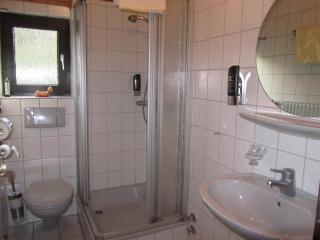 Gasthaus "Zur frischen Quelle" - Laubach - 9