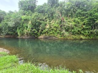 The Ideal Drawa Eco Retreat - 1