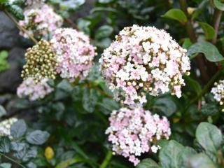 Holiday Home Tradicampo-Casa do Tanque by Interhome - 1