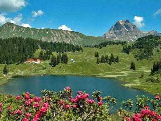 Apartment Höfer by Interhome - 4