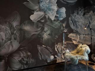 Apartment Z Apartment by Interhome - 6