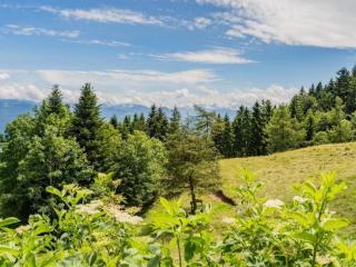 Apartment Haggen by Interhome - 1