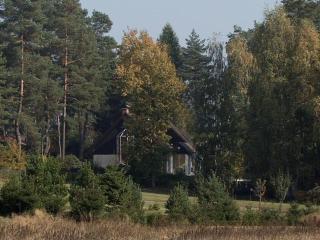 Holiday Home Wellness Ferienhaus Branzez mit Innenpool- Sauna- by Interhome - 1