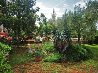 Apartment Nora mit Terrasse by Interhome - 8