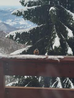 Mountain home Borut - 6