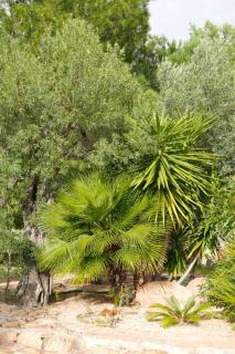 Holiday Home Cosima mit Blick auf das Wasser by Interhome - 1