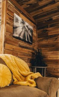 The Rustic Triangle A-Frame - 6