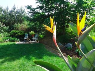 Apartment Apartment Royal by Interhome - 7