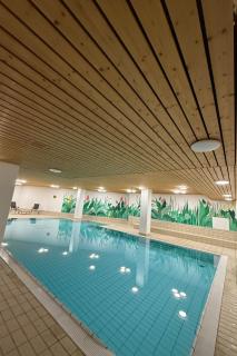 Apartment Studio im Zentrum- Schwimmbad und 400m von Skiliften entfernt by Interhome - 1