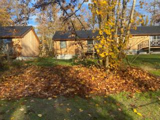 Holiday Home Modernes Chalet für 4 Personen in einem Waldpark by Interhome - 3