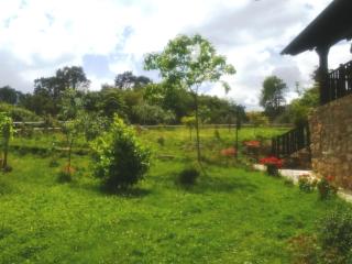Holiday Home Ländliches Haus Médulas 2- für 4 PAX belegbar by Interhome - 4