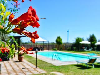 Holiday Home für 20 Personen in Cortona- Trasimenischer See by Interhome - 6