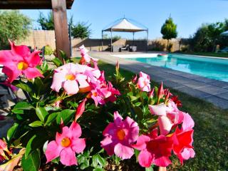 Holiday Home für 20 Personen in Cortona- Trasimenischer See by Interhome - 5