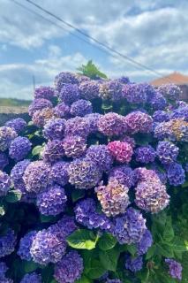 Holiday Home Ländliches Anwesen Mar y Montaña - Meer und Berge by Interhome - Lamuño - 7