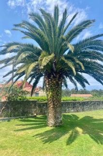 Holiday Home Ländliches Anwesen Mar y Montaña - Meer und Berge by Interhome - Lamuño - 6