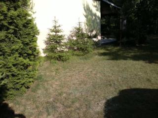 Holiday Home mit eingezäuntem Grundstück am Wasser by Interhome - 4