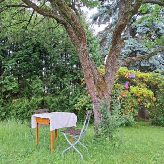 Casa Calali Haustierfreundlich - 3