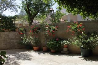 Apartment Sali 8152b - 1