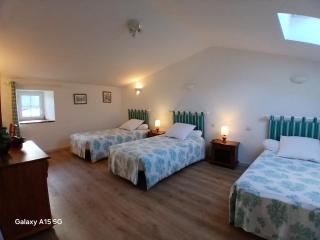 Charmante maison ancienne rénovée avec jardin privé, 5 couchages - FR-1-426-171 - 4