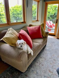 Del Rey/Culver City Dream Oasis - 3