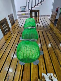 Nil Manel Tourist - 9