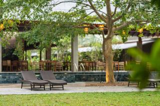 Cascara Weligama - 1