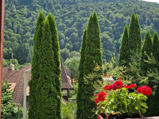 Sinaia Alex Apartments - 3