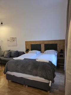 Modern 1BR Apartment Near Wiener Stadthalle - 9