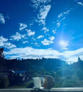 Apart Hotel Art ბაკურიანი - Bakuriani - 2