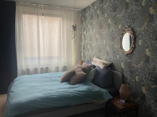 Spacious house IJmeer Amsterdam - east IJburg - 3