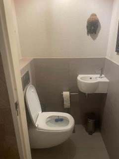 Spacious house IJmeer Amsterdam - east IJburg - 1